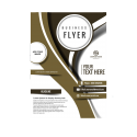 FLYERS JUSQU'A 170G